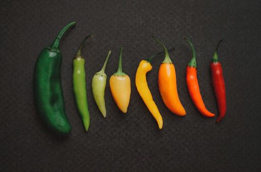 Peppers lined up in color order, from green to yellow to orange to red.